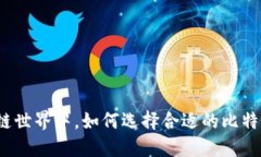 在区块链世界中，如何选择合适的比特币钱包？