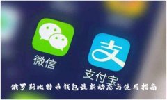 俄罗斯比特币钱包最新动态与使用指南