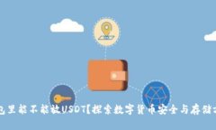 钱包里能不能放USDT？探索数字货币安全与存储方