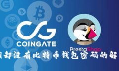有私钥却没有比特币钱包密码的解决方案