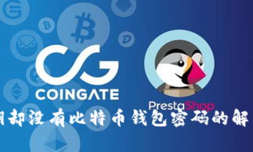 有私钥却没有比特币钱包密码的解决方案