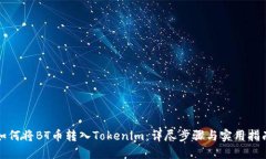 如何将BT币转入Tokenim：详尽步骤与实用指南
