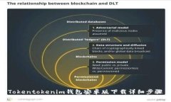 Tokentokenim钱包安卓版下载详细步骤