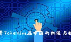 探寻Tokenim在中国的机遇与挑战