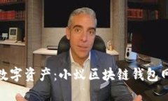 轻松掌控您的数字资产：小蚁区块链钱包网页版