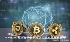 Tokenim：解决数字资产价值不显示的种种问题