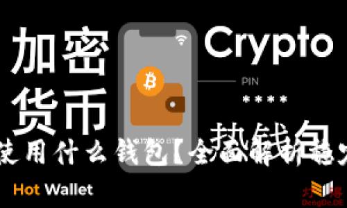 : USDT究竟使用什么钱包？全面解析稳定币存储方式