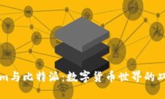 Tokenim与比特派：数字货币世界的双雄对决