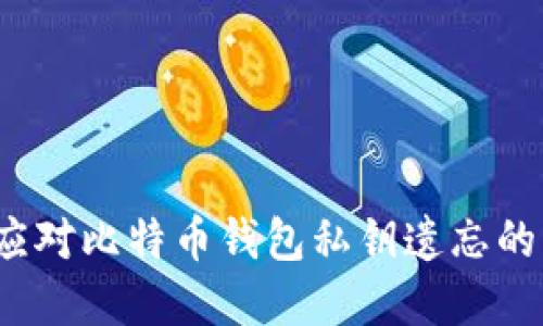 如何应对比特币钱包私钥遗忘的困境？