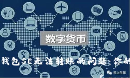 biati解决Tokenim钱包SE无法转账的问题：你的数字资产安全指南