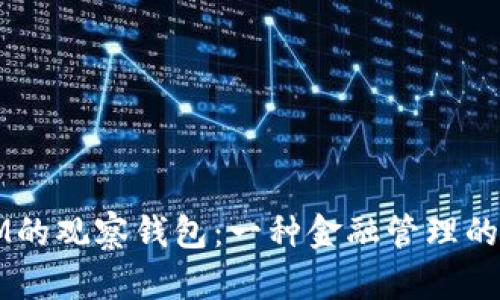探索IM的观察钱包：一种金融管理的新视角