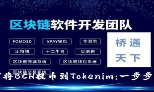 如何将BCH提币到Tokenim：一步步详解