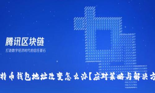 比特币钱包地址改变怎么办？应对策略与解决方案