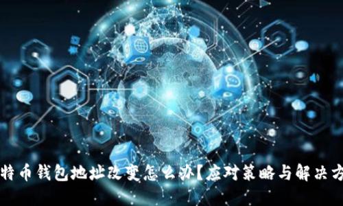 比特币钱包地址改变怎么办？应对策略与解决方案