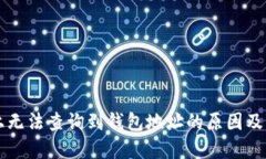 区块链上无法查询到钱包地址的原因及解决方案