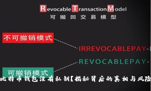 比特币钱包没有私钥？揭秘背后的真相与风险