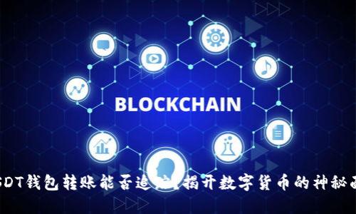 USDT钱包转账能否追踪？揭开数字货币的神秘面纱