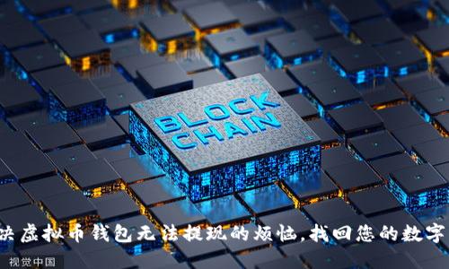  解决虚拟币钱包无法提现的烦恼，找回您的数字资产