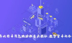 2023年比特币钱包地址排名大揭秘：数字货币的冷