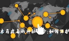 揭开Tokenim木马病毒的神秘面纱：如何保护你的数
