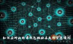 如何应对比特币钱包地址丢失的紧急情况