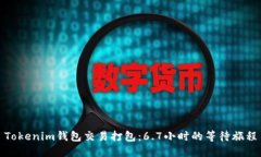 Tokenim钱包交易打包：6.7小时的等待旅程