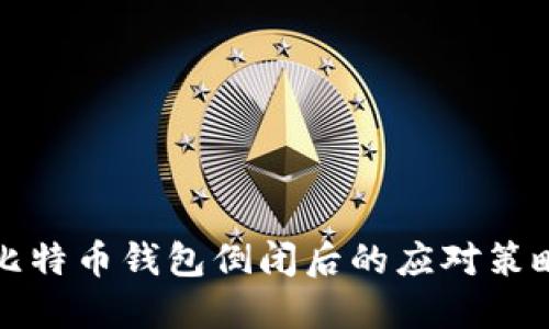 比特币钱包倒闭后的应对策略