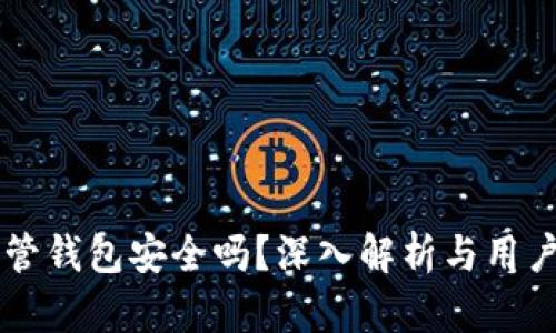 虚拟币托管钱包安全吗？深入解析与用户体验分享