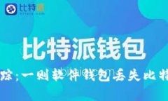 当数字资产失踪：一则软件钱包丢失比特币的真