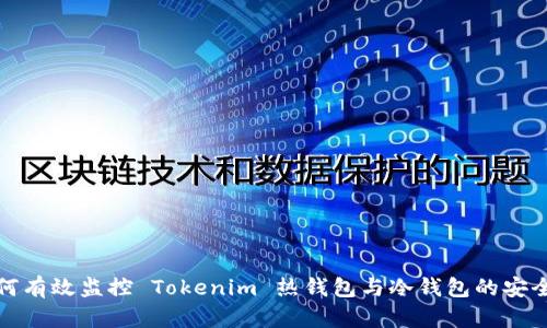 如何有效监控 Tokenim 热钱包与冷钱包的安全性