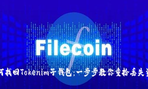 如何找回Tokenim子钱包：一步步教你重拾丢失资产