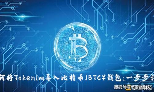 如何将Tokenim导入比特币（BTC）钱包：一步步详解
