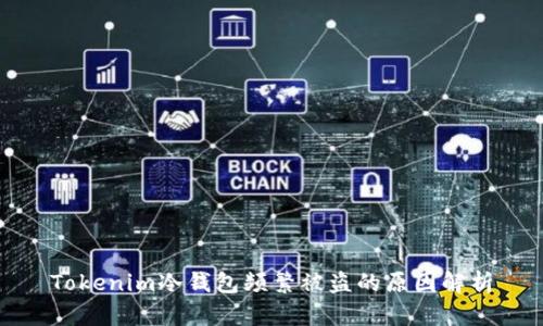 Tokenim冷钱包频繁被盗的原因解析