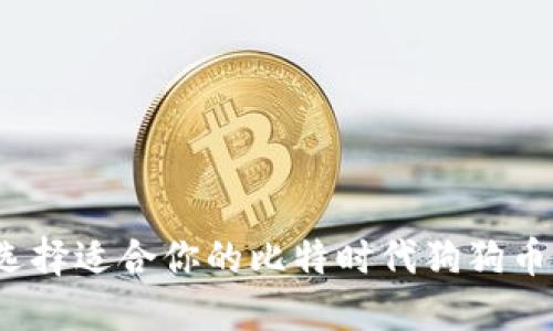 如何选择适合你的比特时代狗狗币钱包？
