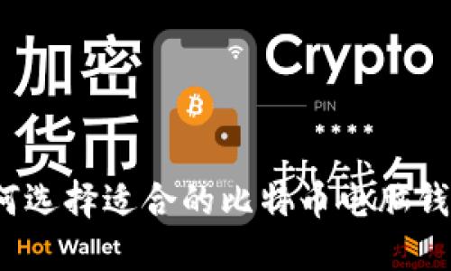 如何选择适合的比特币电脑钱包？