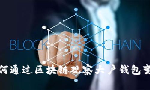 如何通过区块链观察大户钱包变动