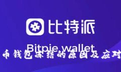 比特币钱包冻结的原因及应对策略