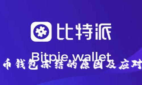 比特币钱包冻结的原因及应对策略